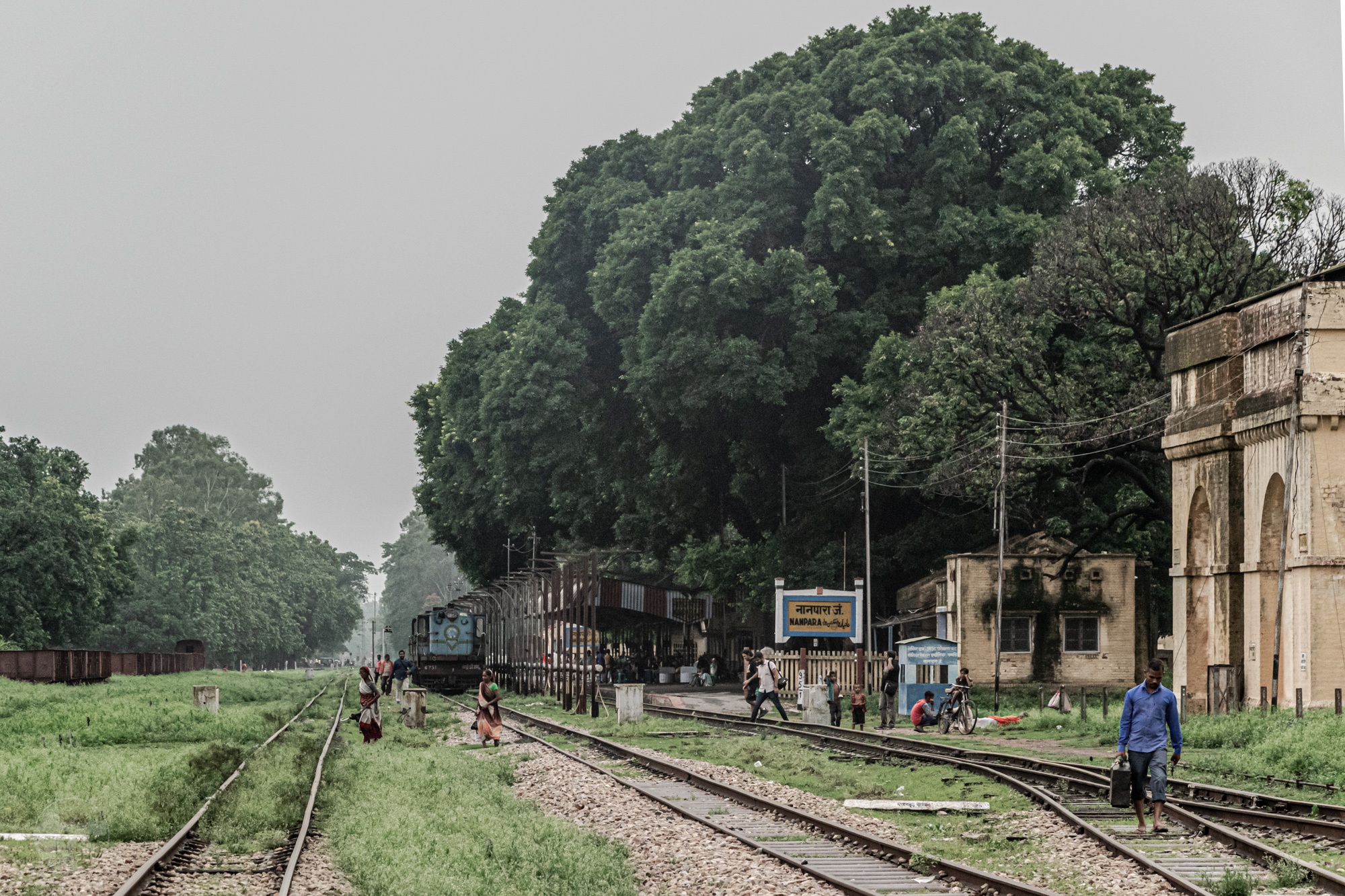 The Terai Trains – Revisited